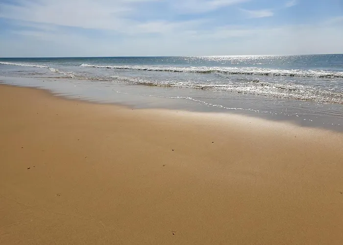 Superbe Appartement Au Coeur Du Cap-Ferret