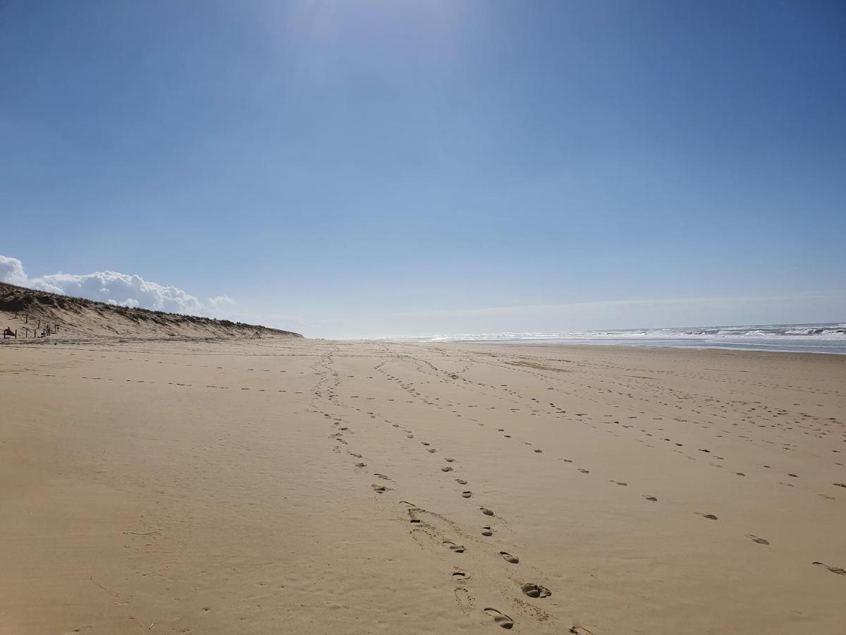 Apartment Superbe Au Coeur Du Cap-ferret *