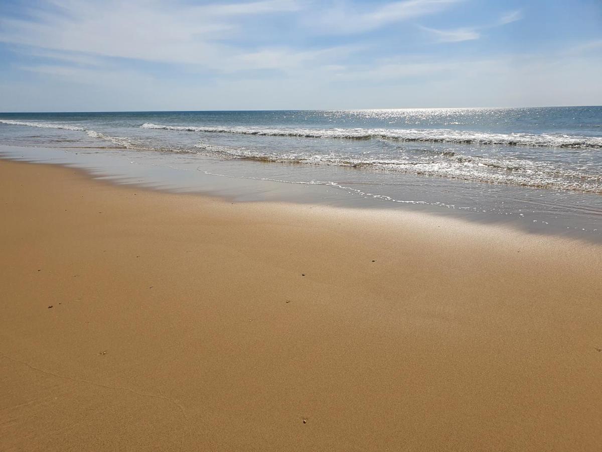 Superbe Au Coeur Du Cap-ferret Lege-Cap-Ferret