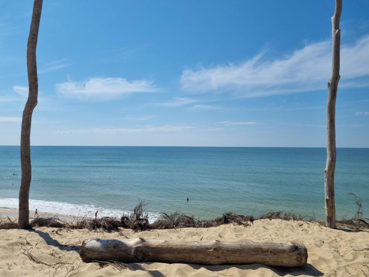 Superbe Au Coeur Du Cap-ferret Apartment Lege-Cap-Ferret