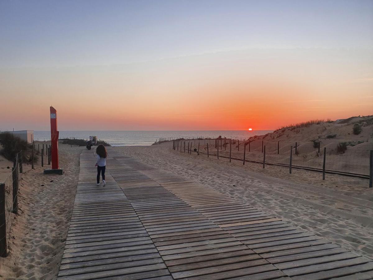 Apartment Superbe Au Coeur Du Cap-ferret